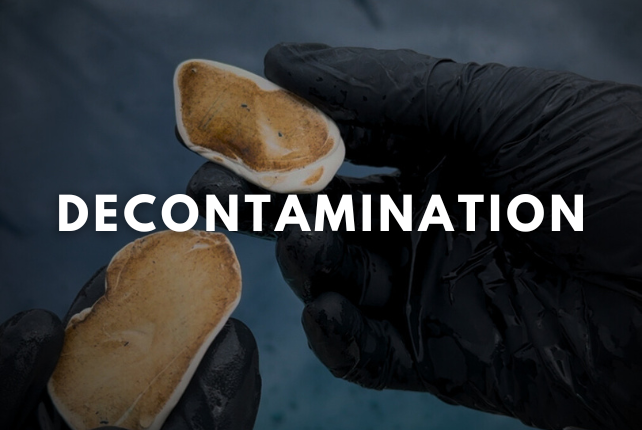 Car decontamination service using clay bar and chemical treatments to remove dirt, tar, and other contaminants.